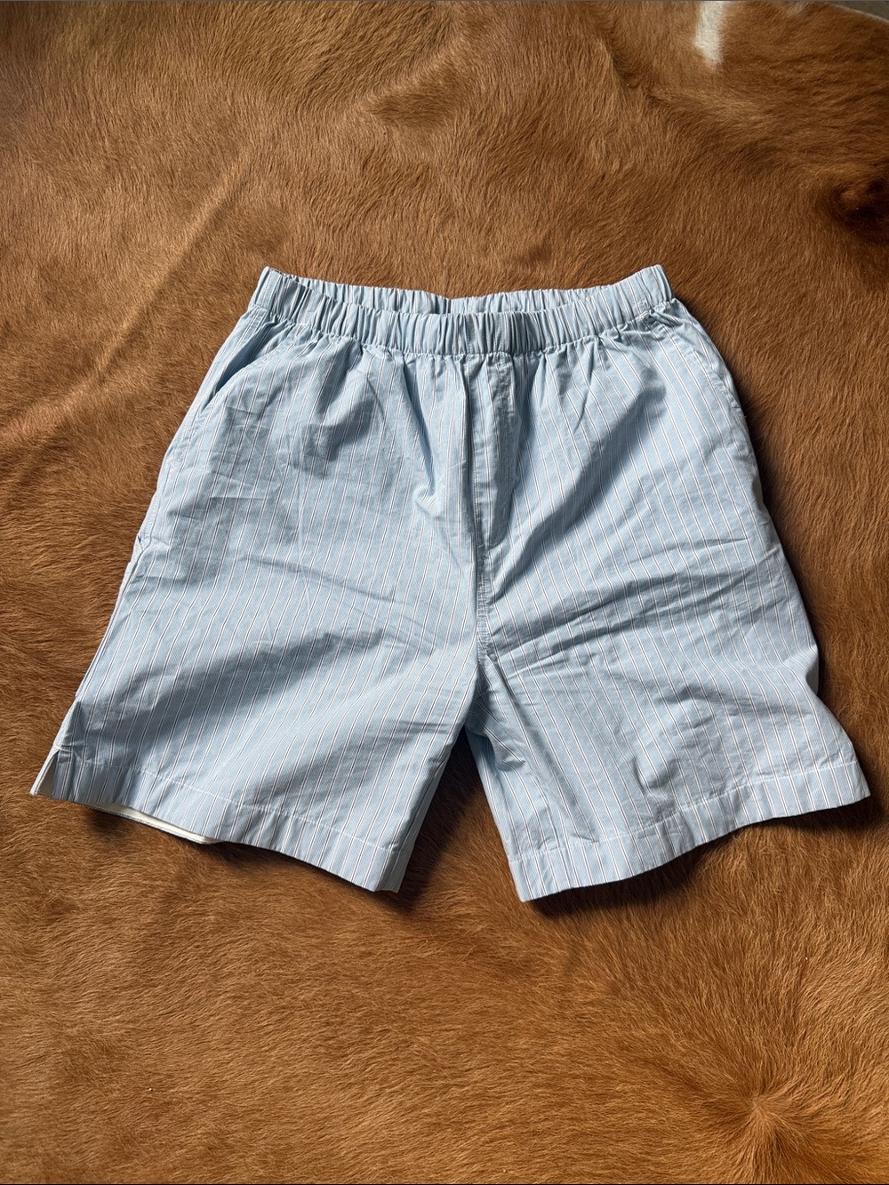 Carhartt WIP Light Blue Pinstripe Elastic-Waist Shorts